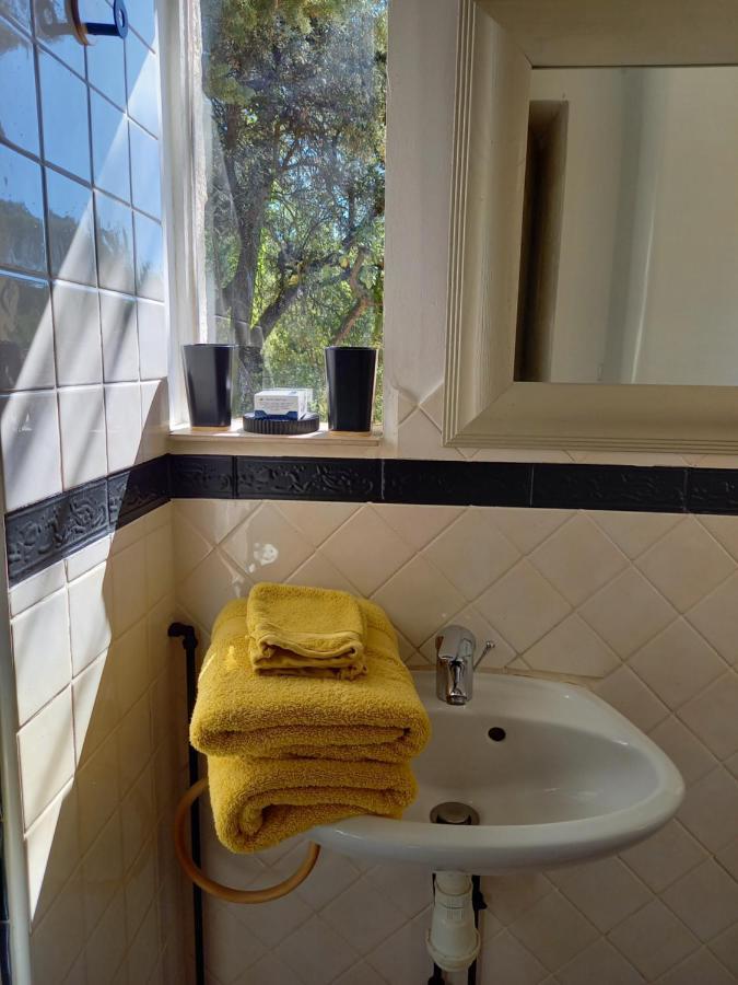 GITE AVEC SPA JACUZZI au cœur de Provence Côte d'Azur Saint-Antonin-du-Var Extérieur photo